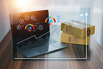 User Analytics - iProStores Webflow Template